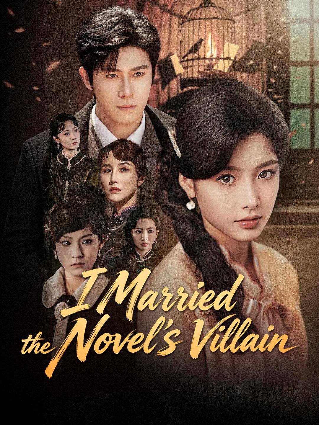 I Married the Novel's Villain