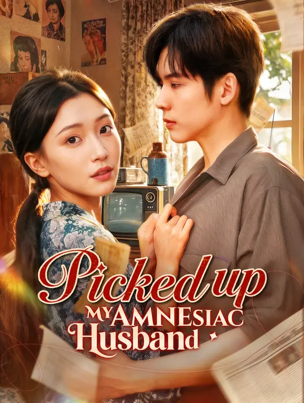 Picked up My Amnesiac Husband
