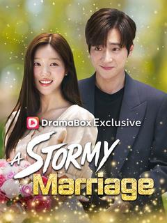 A Stormy Marriage (DUBBED)