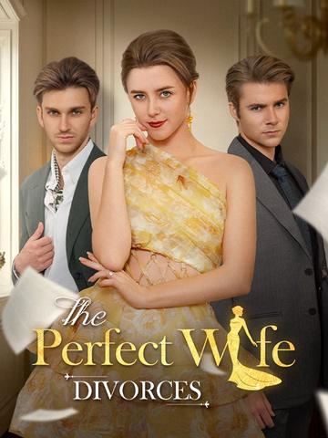 The Perfect Wife Divorces