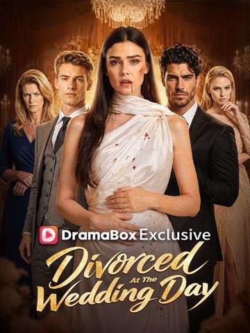 Divorced at the Wedding Day