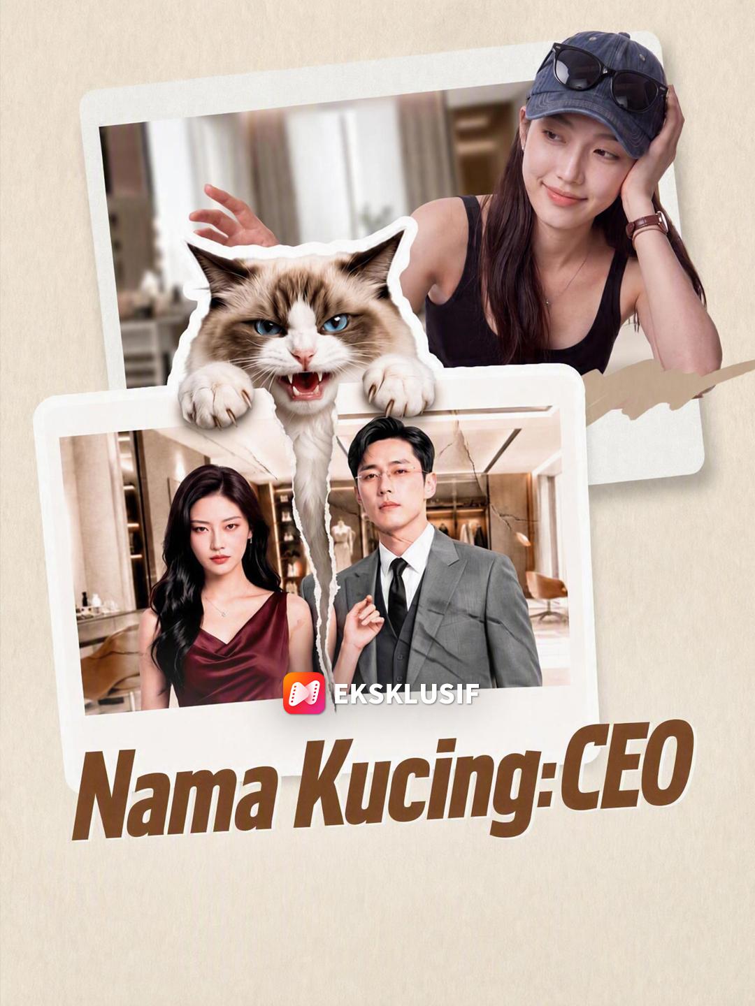 Nama Kucing: CEO