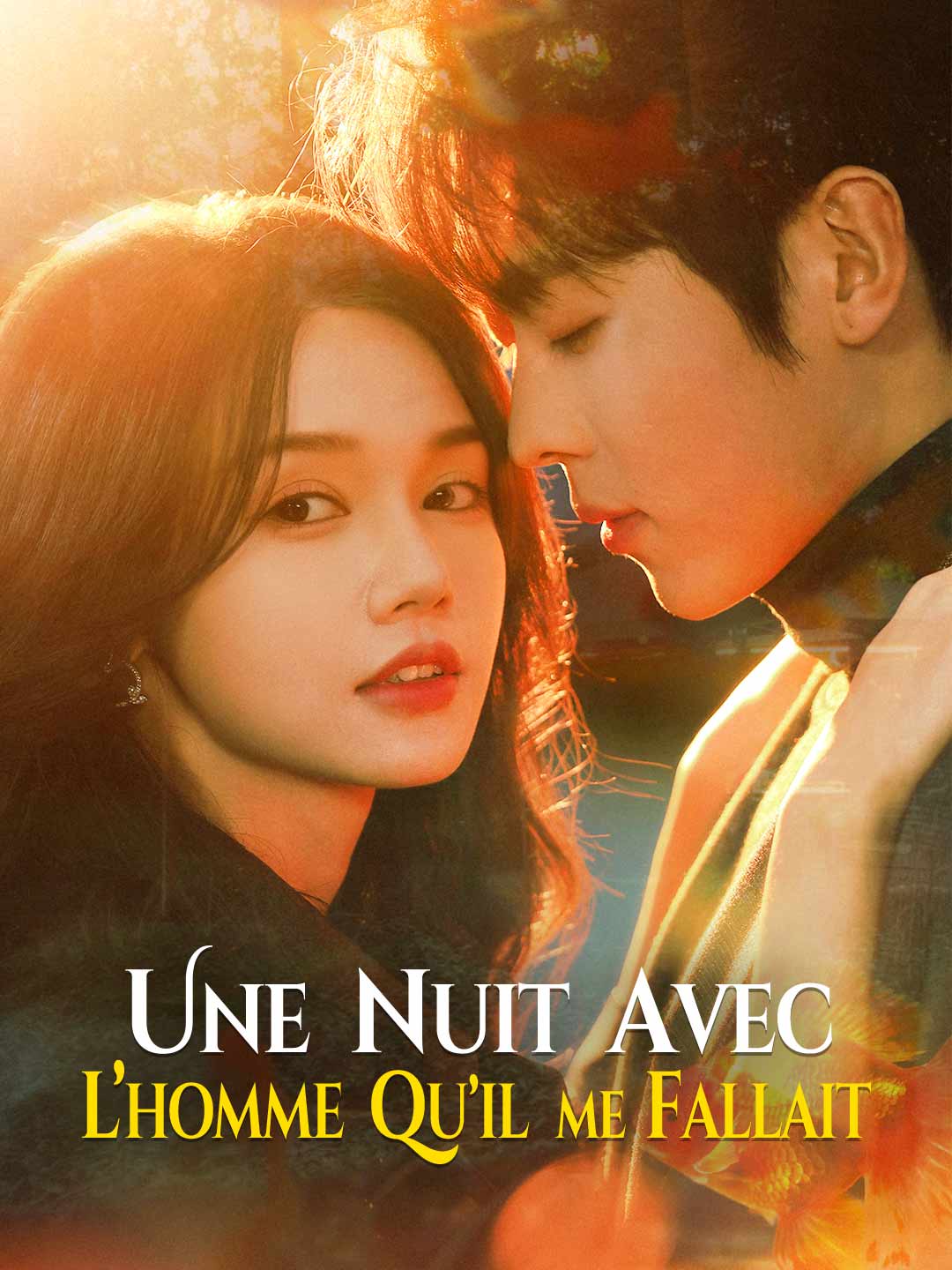 Une nuit avec l’homme qu’il me fallait