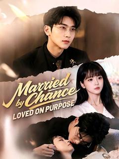 Married by Chance, Loved on Purpose