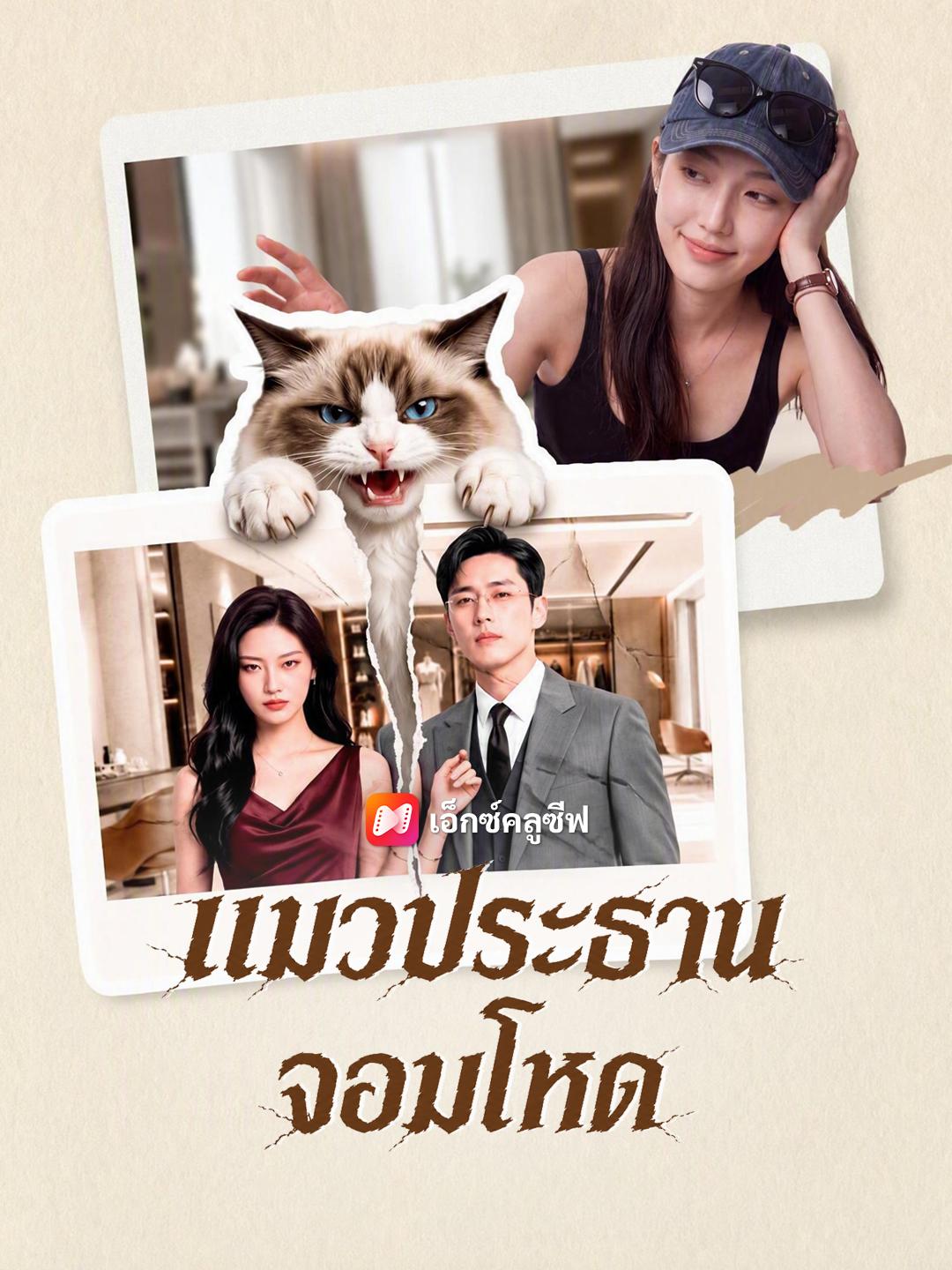 แมวประธานจอมโหด