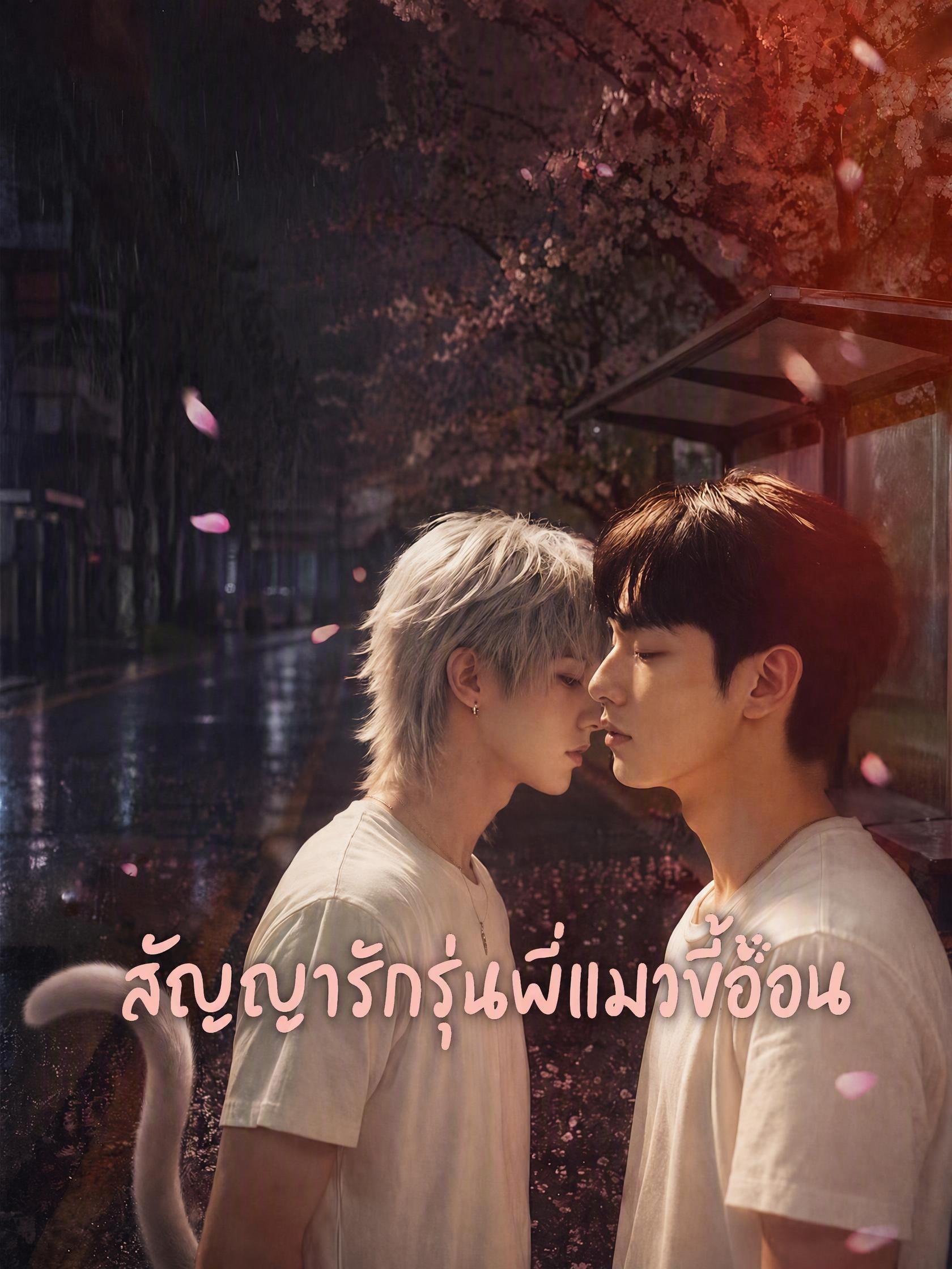 สัญญารักรุ่นพี่แมวขี้อ้อน
