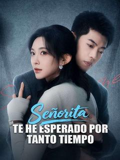 Señorita, te he esperado por tanto tiempo