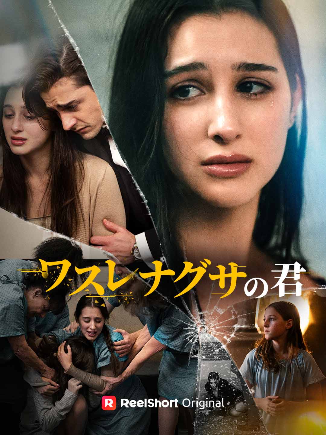 ワスレナグサの君