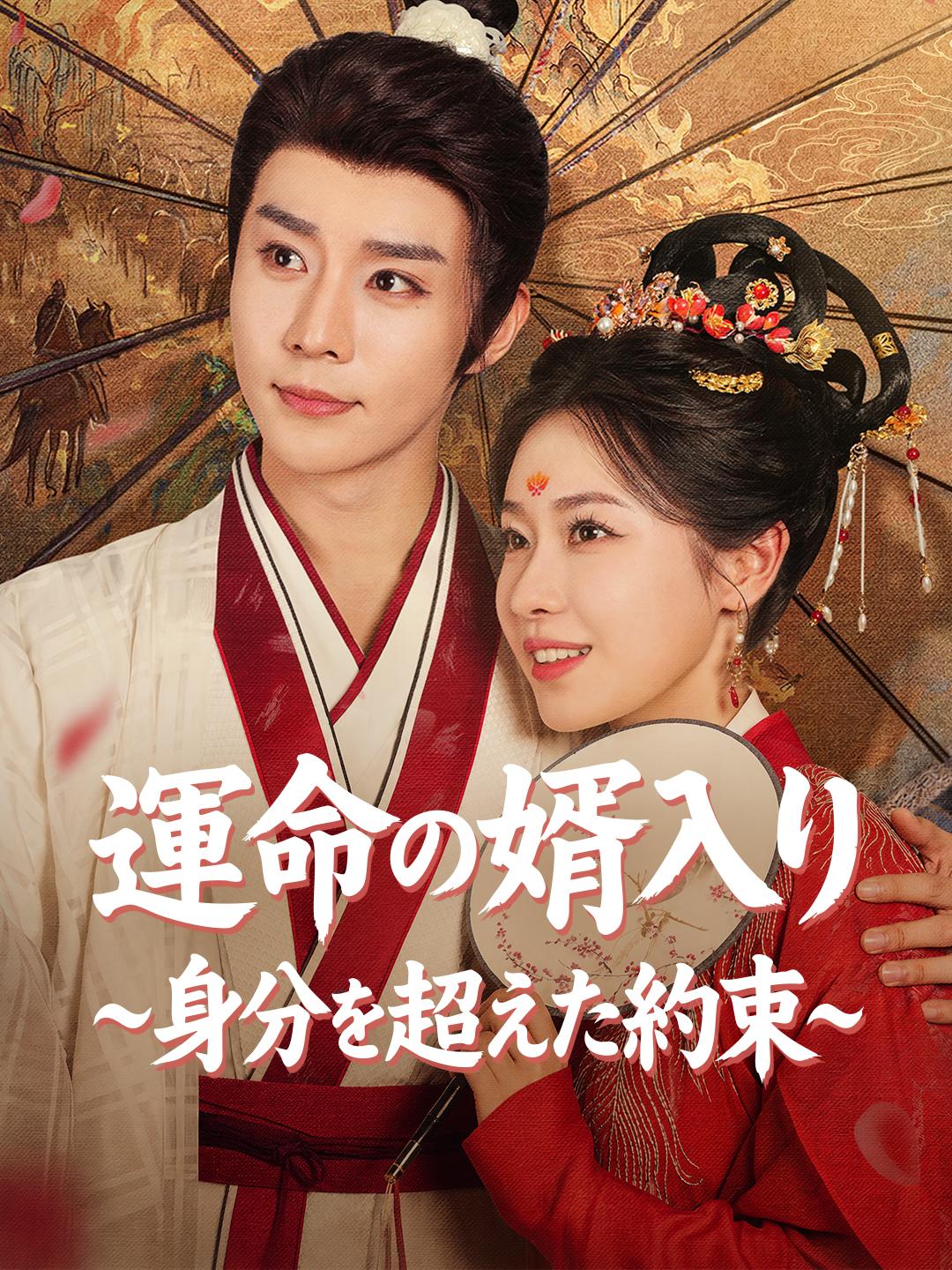 運命の婿入り~身分を超えた約束~
