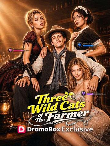 Three Wild Cats of The Farmer