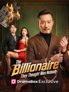 The Billionaire They Thought Was Nobody