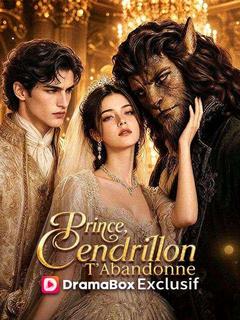 Prince, Cendrillon T'Abandonne（Doublé）