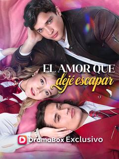 El amor que dejé escapar