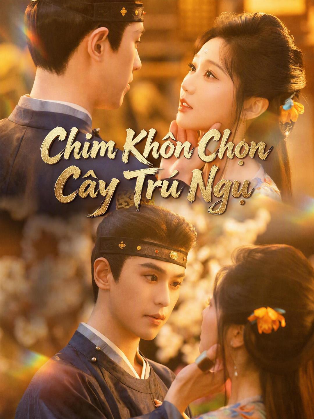 Chim Khôn Chọn Cây Trú Ngụ