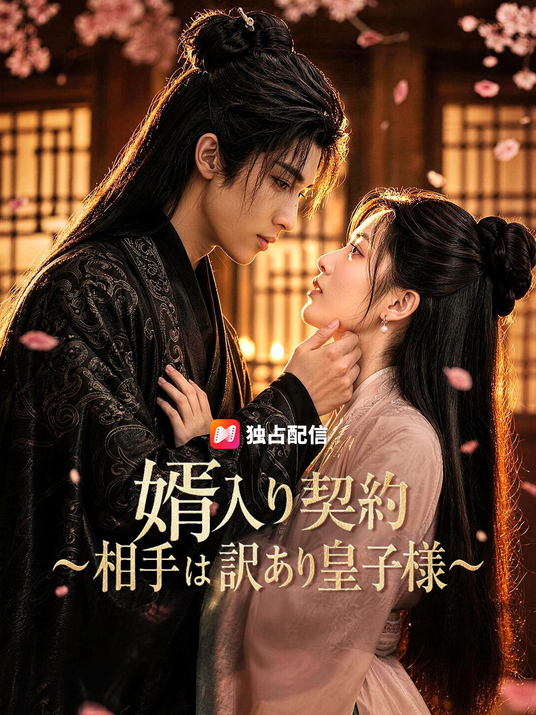 婿入り契約～相手は訳あり皇子様～
