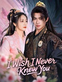 I Wish I Never Knew You