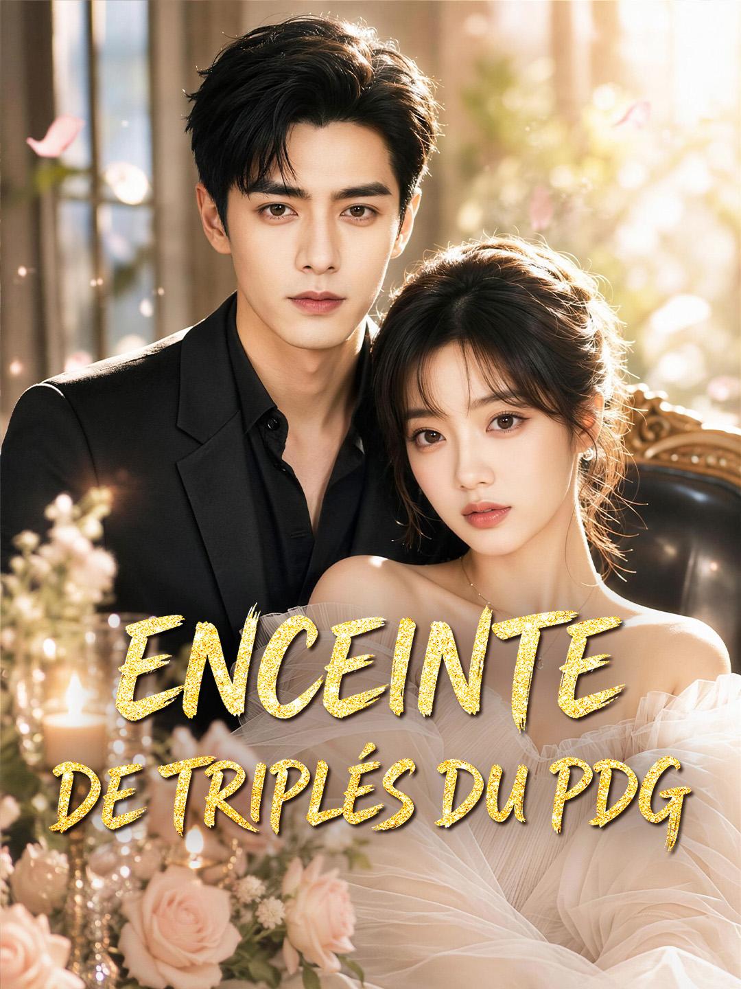 ENCEINTE DE TRIPLÉS DU PDG