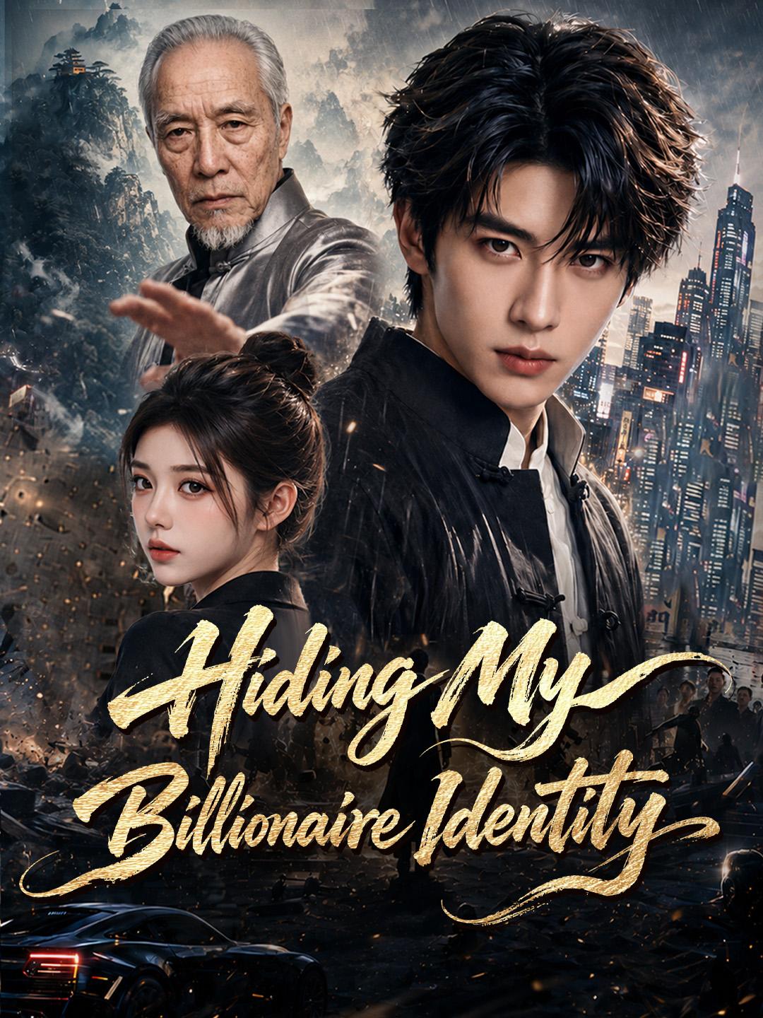 Hiding My Billionaire Identity
