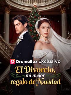 El divorcio, mi mejor regalo de Navidad