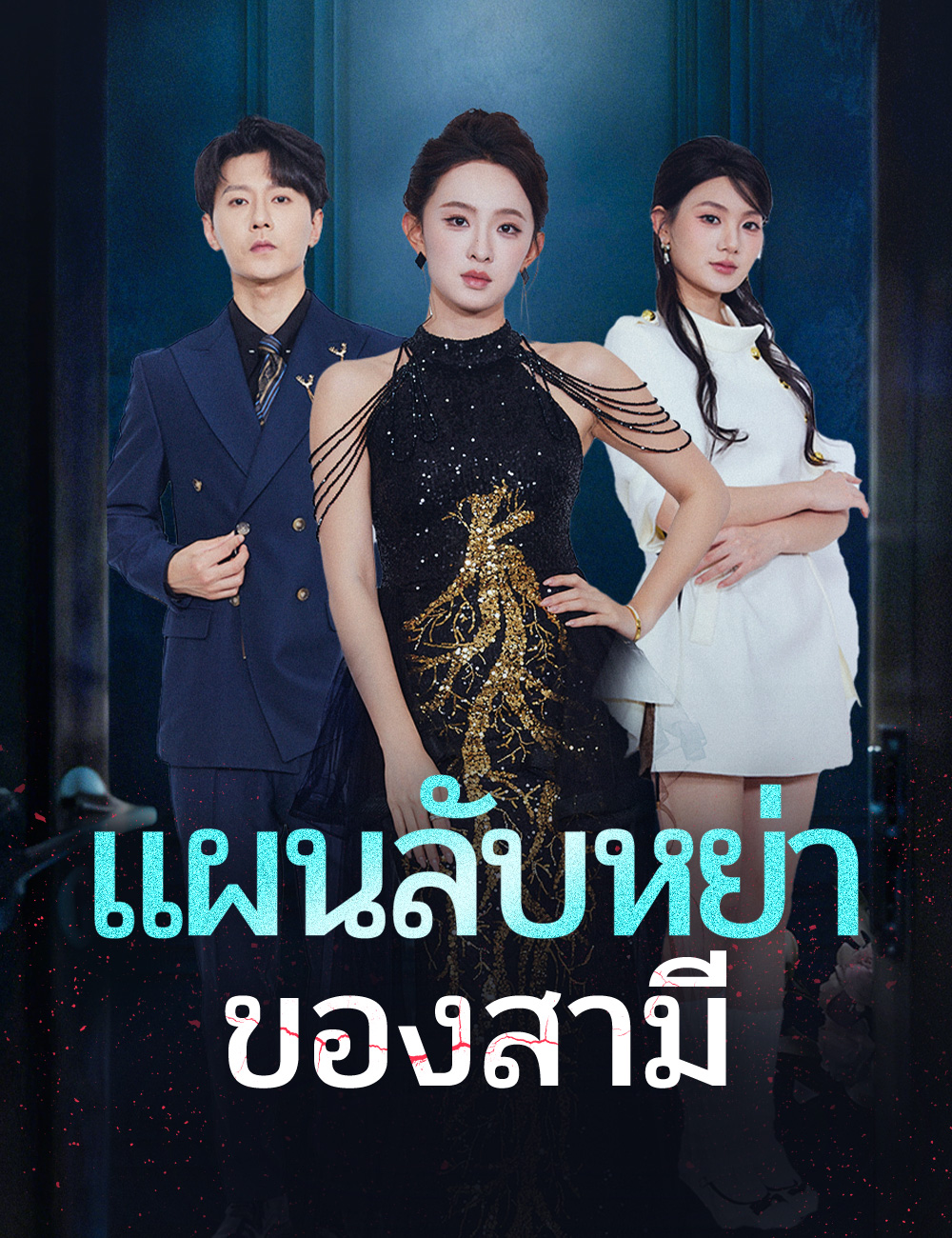 แผนลับหย่าของสามี