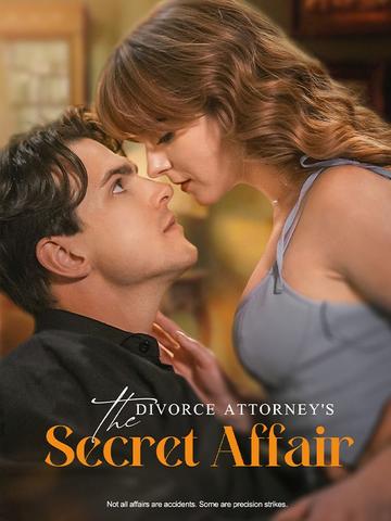 The Divorce Attorney's Secret Affair