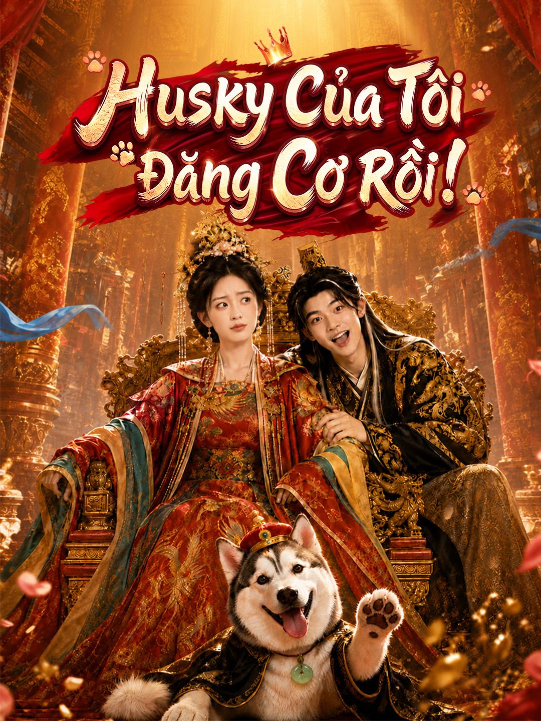 Husky Của Tôi Đăng Cơ Rồi!