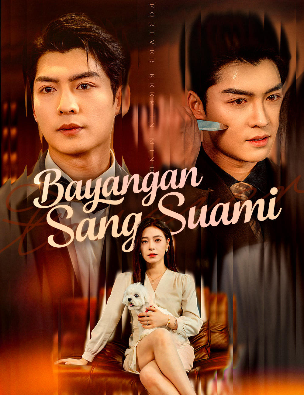 Bayangan sang Suami