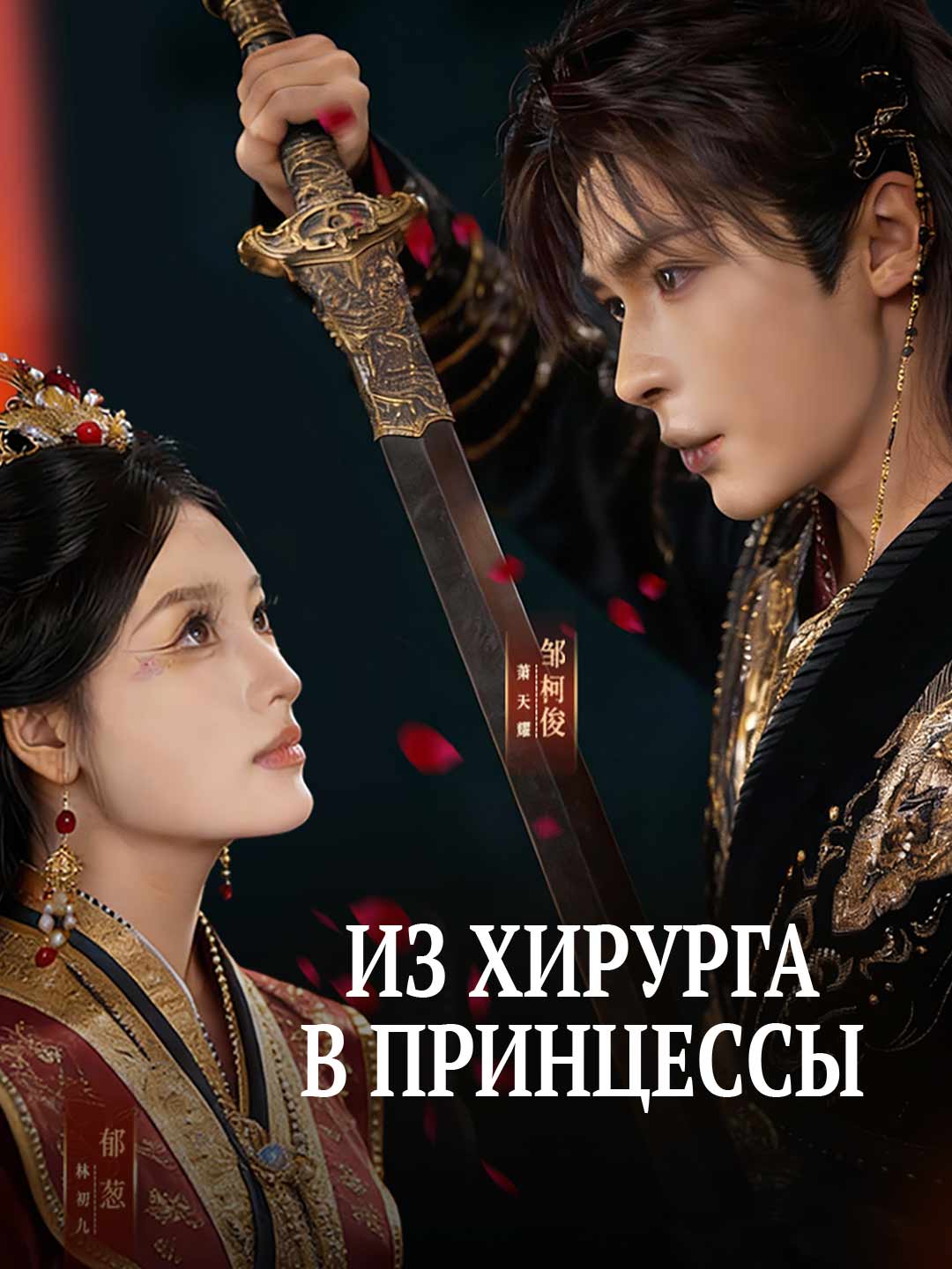 Из хирурга в принцессы