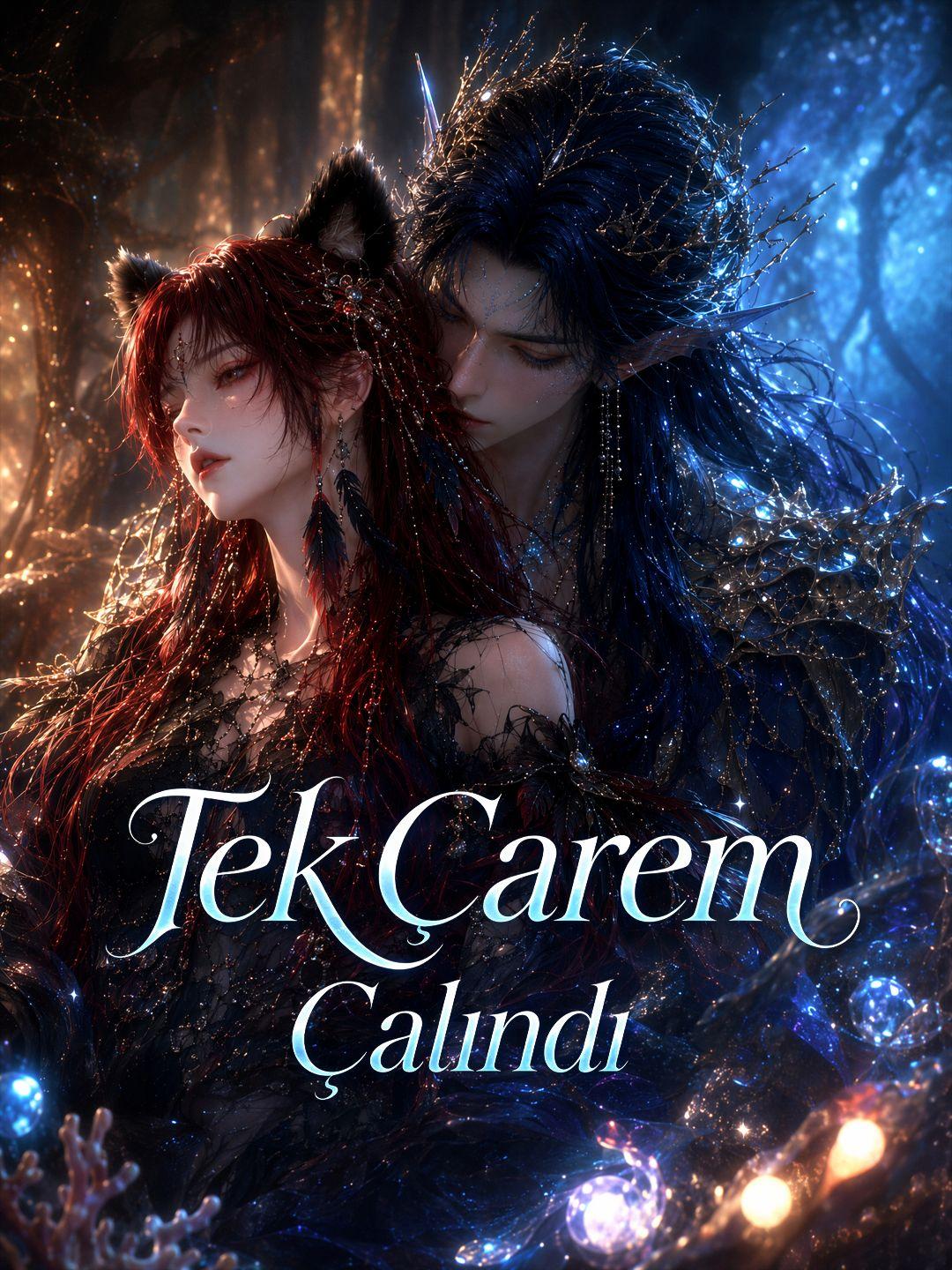 (Dublajlı) Tek Çarem Çalındı