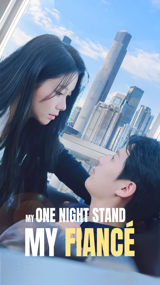My One Night Stand, My Fiancé
