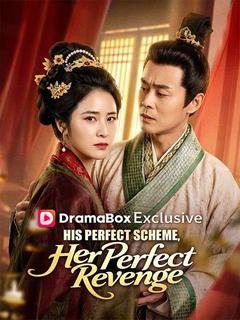 His Perfect Scheme, Her Perfect Revenge