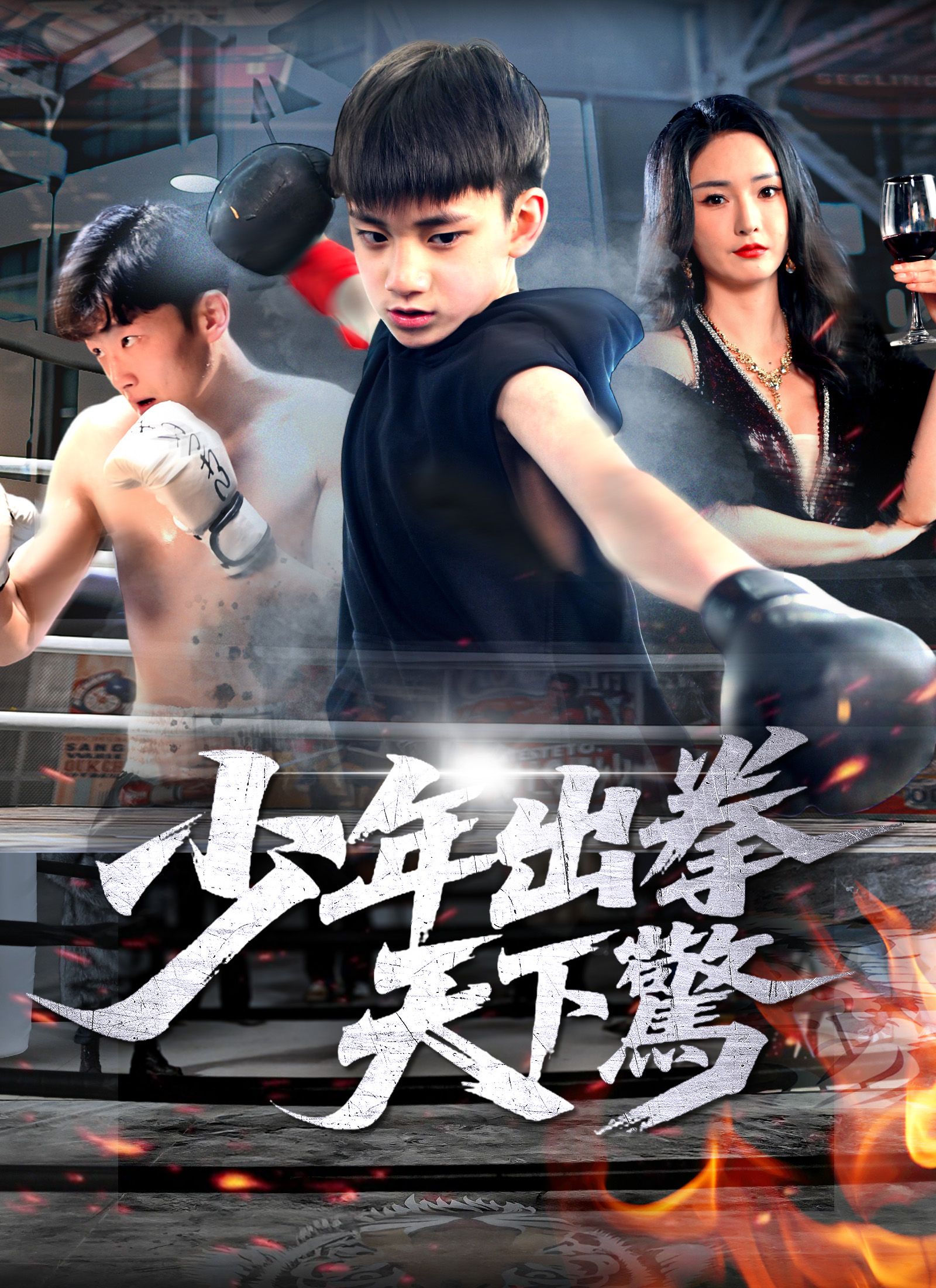 少年出拳天下驚