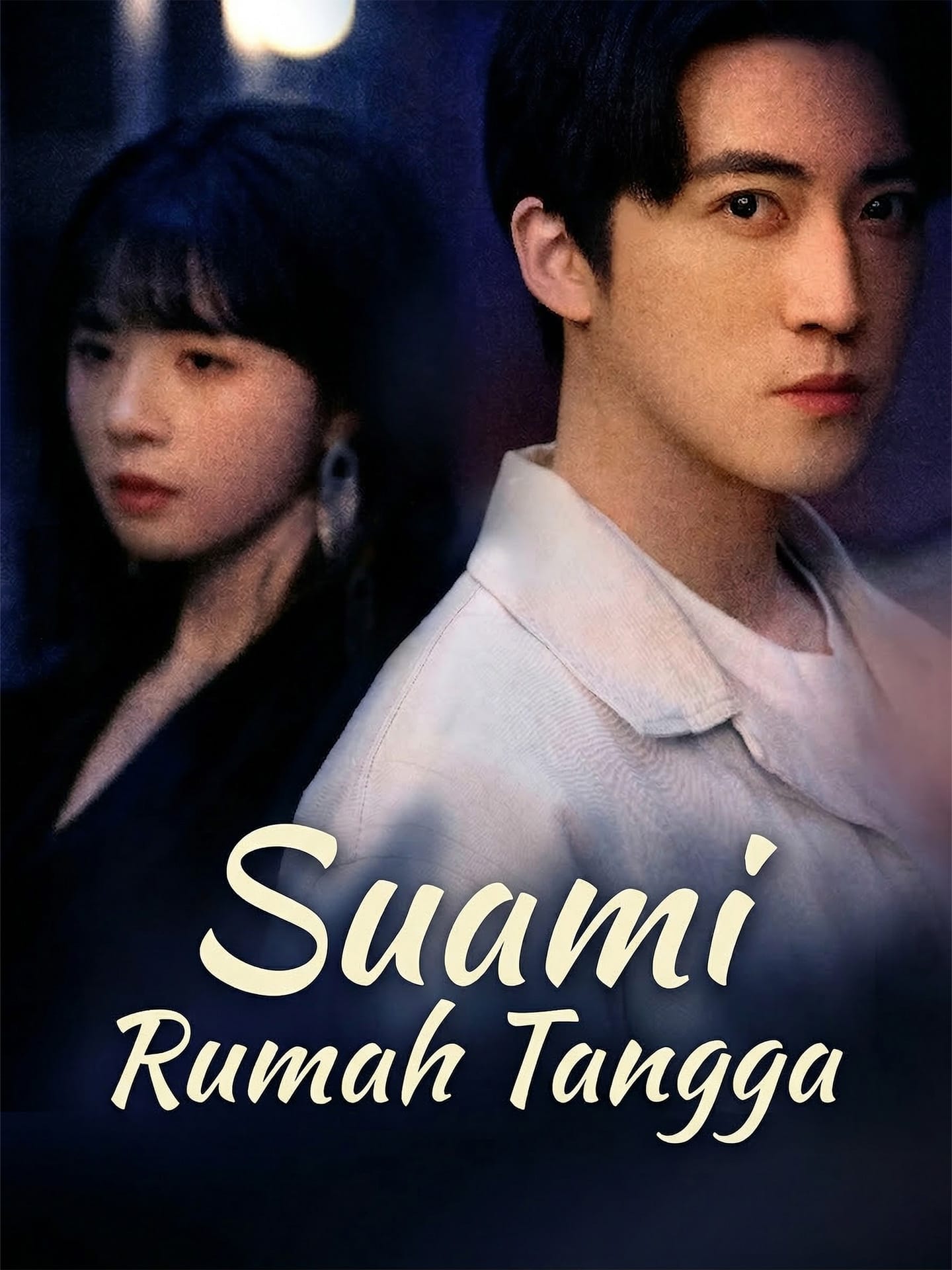 Suami Rumah Tangga