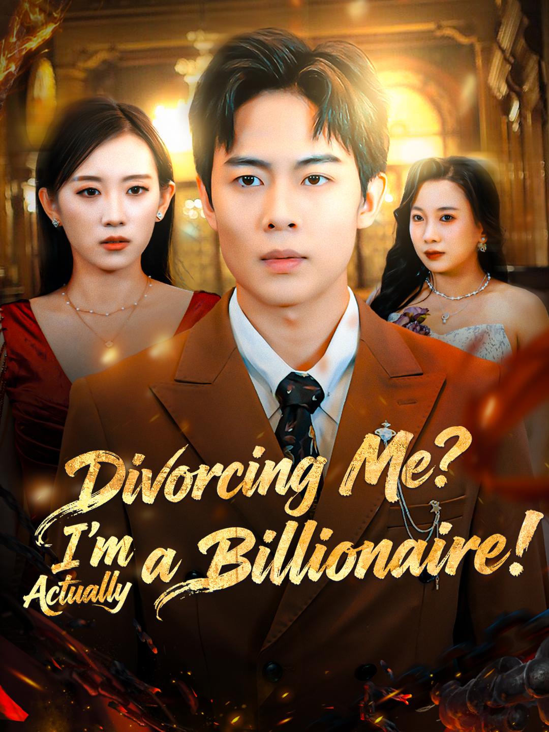 Divorcing Me? I'm Actually a Billionaire!