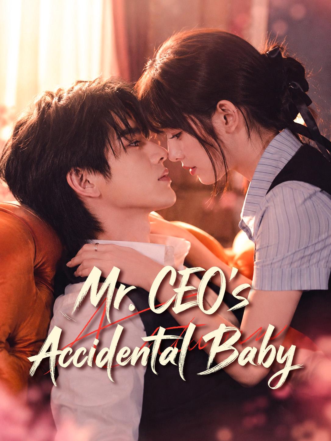 Mr. CEO's Accidental Baby