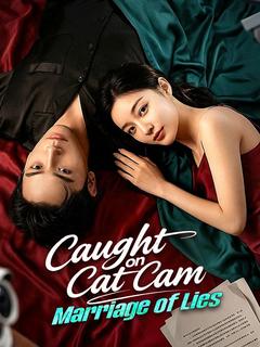 Caught on Cat Cam: Marriage of Lies