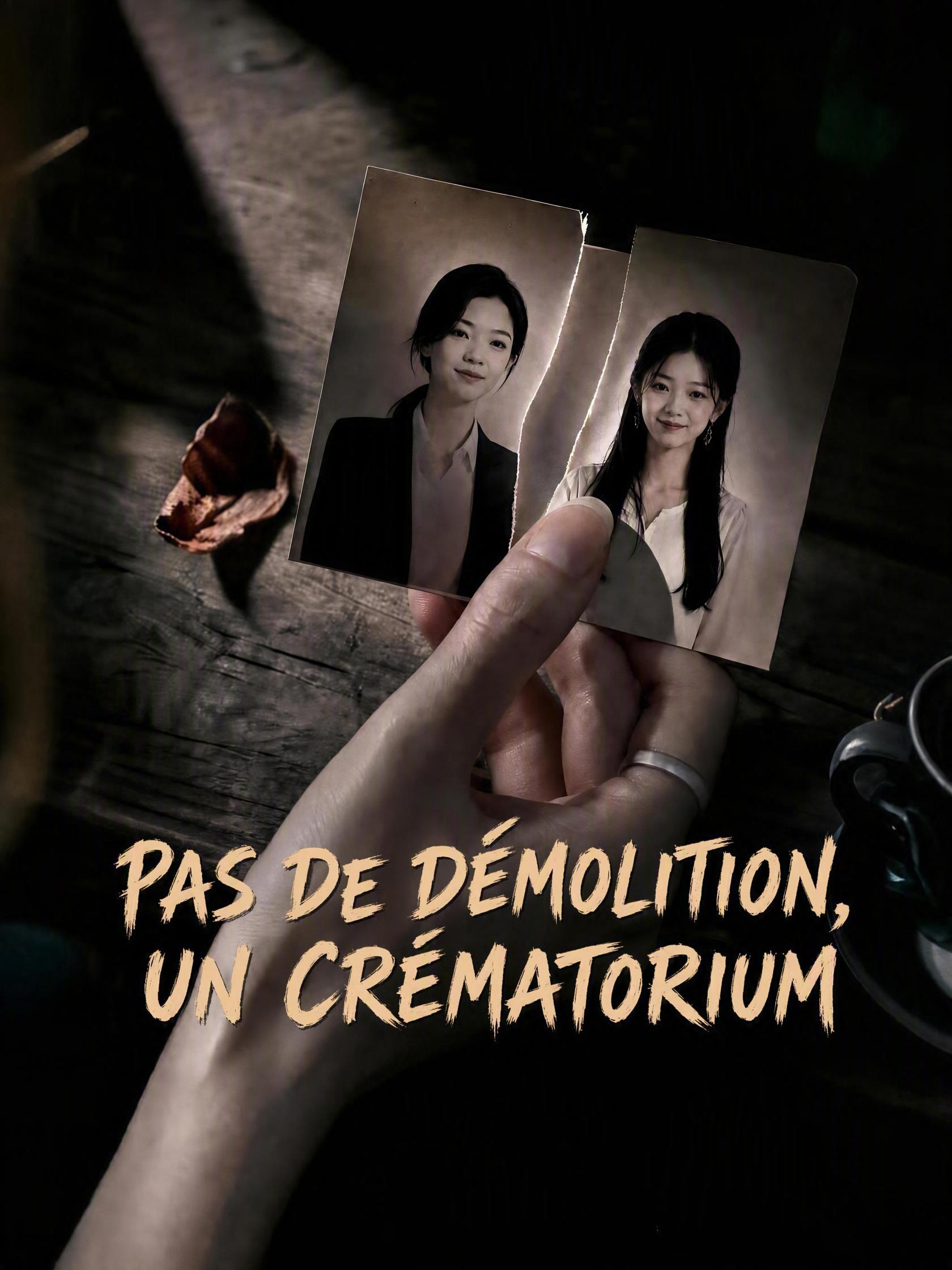 PAS DE DÉMOLITION, UN CRÉMATORIUM