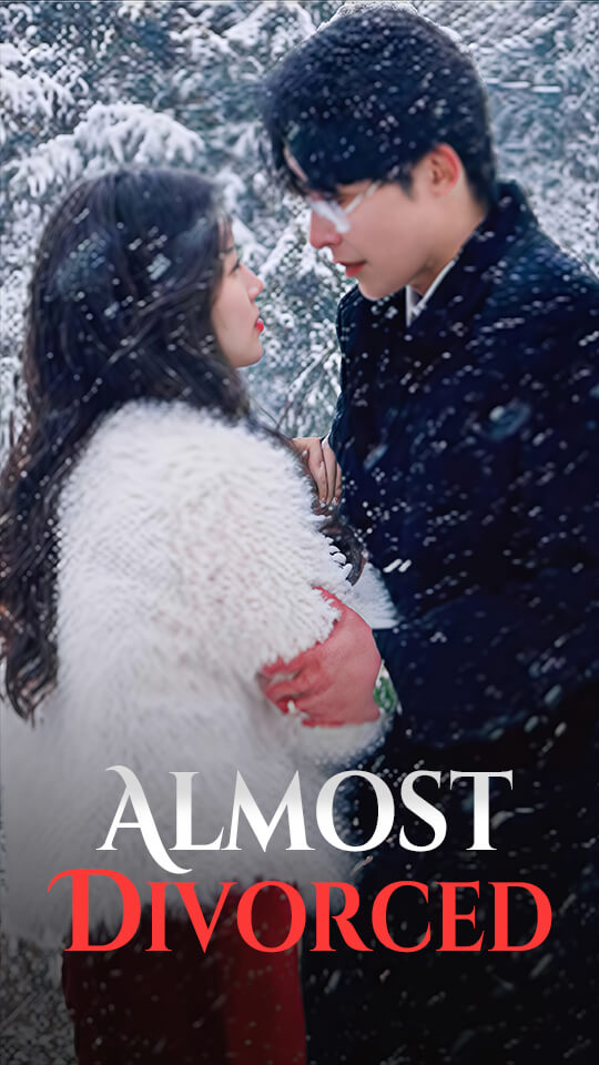 Almost Divorced