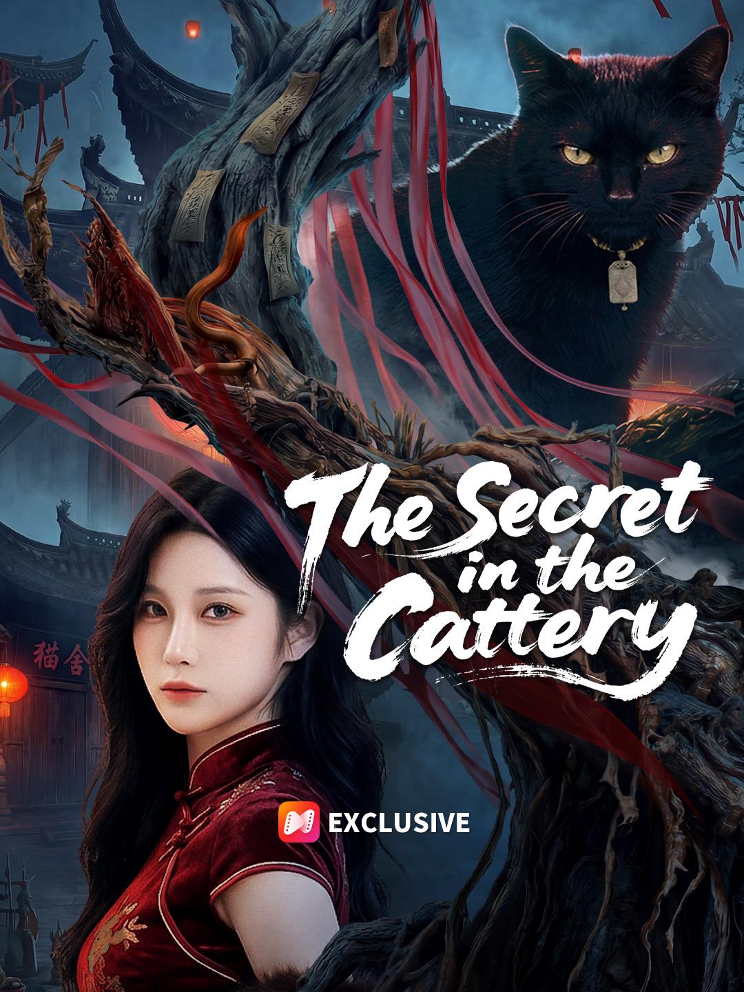 The Secret in the Cattery
