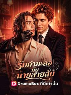รักกำมะลอกับนายสายลับ