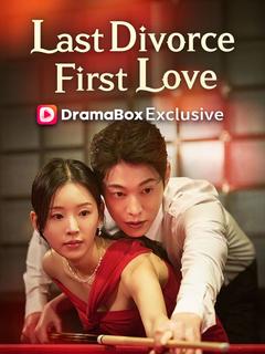 My Last Divorce, My First Love(DUBBED)
