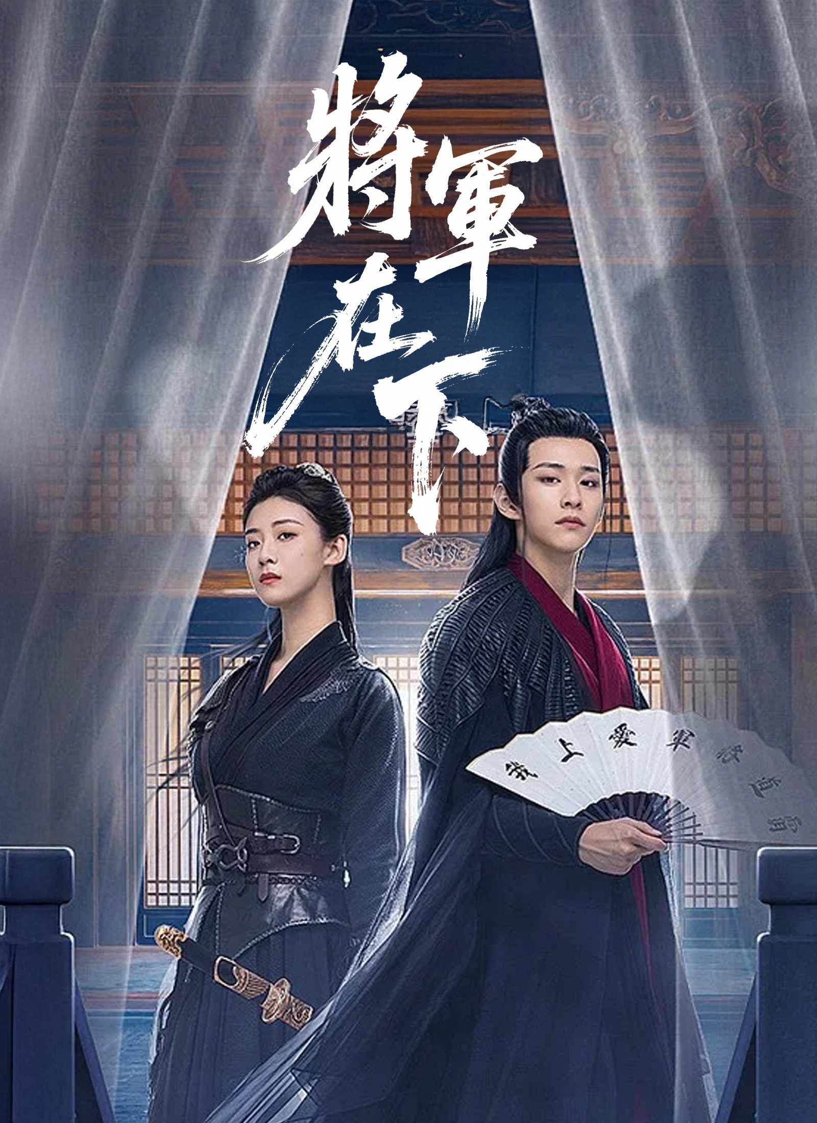 將軍在下