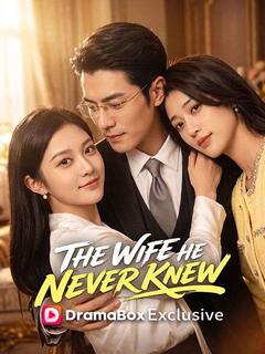 The Wife He Never Knew